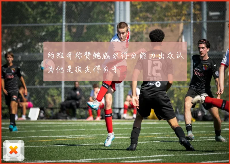约维奇称赞鲍威尔得分能力出众认为他是顶尖得分手