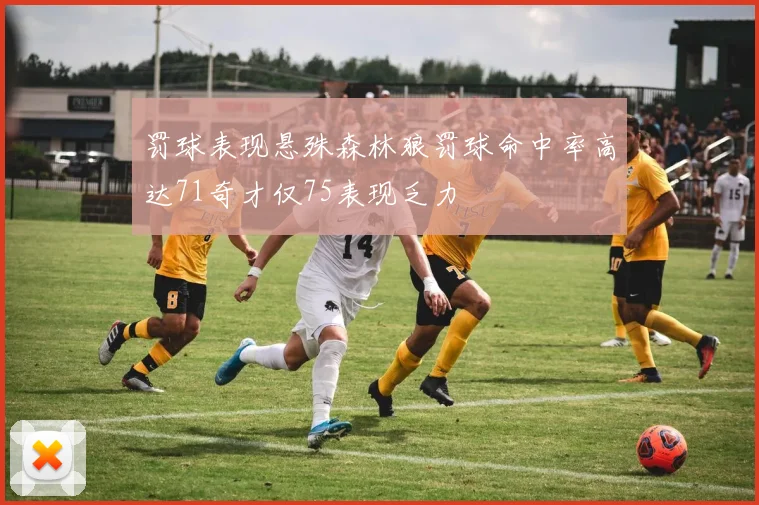 罚球表现悬殊森林狼罚球命中率高达71奇才仅75表现乏力