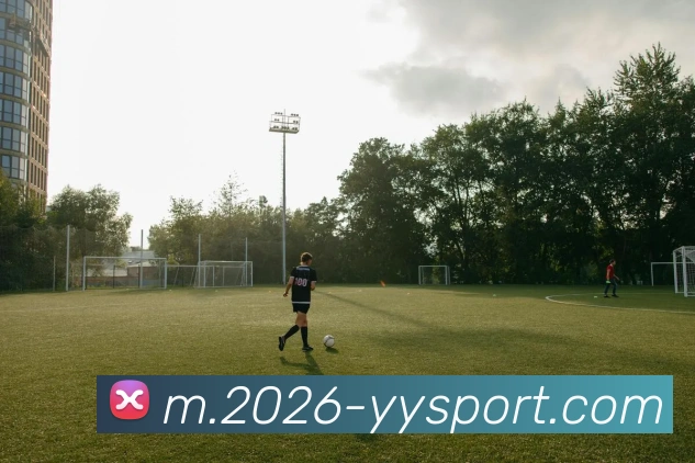 易游体育APP 封面图